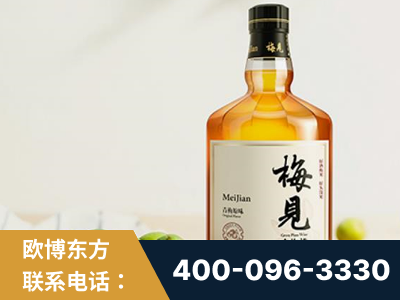 荆门-梅见青梅酒